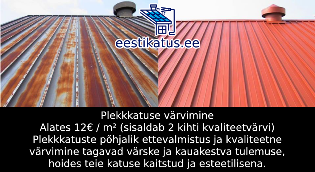 Plekkkatuse värvimine hind
